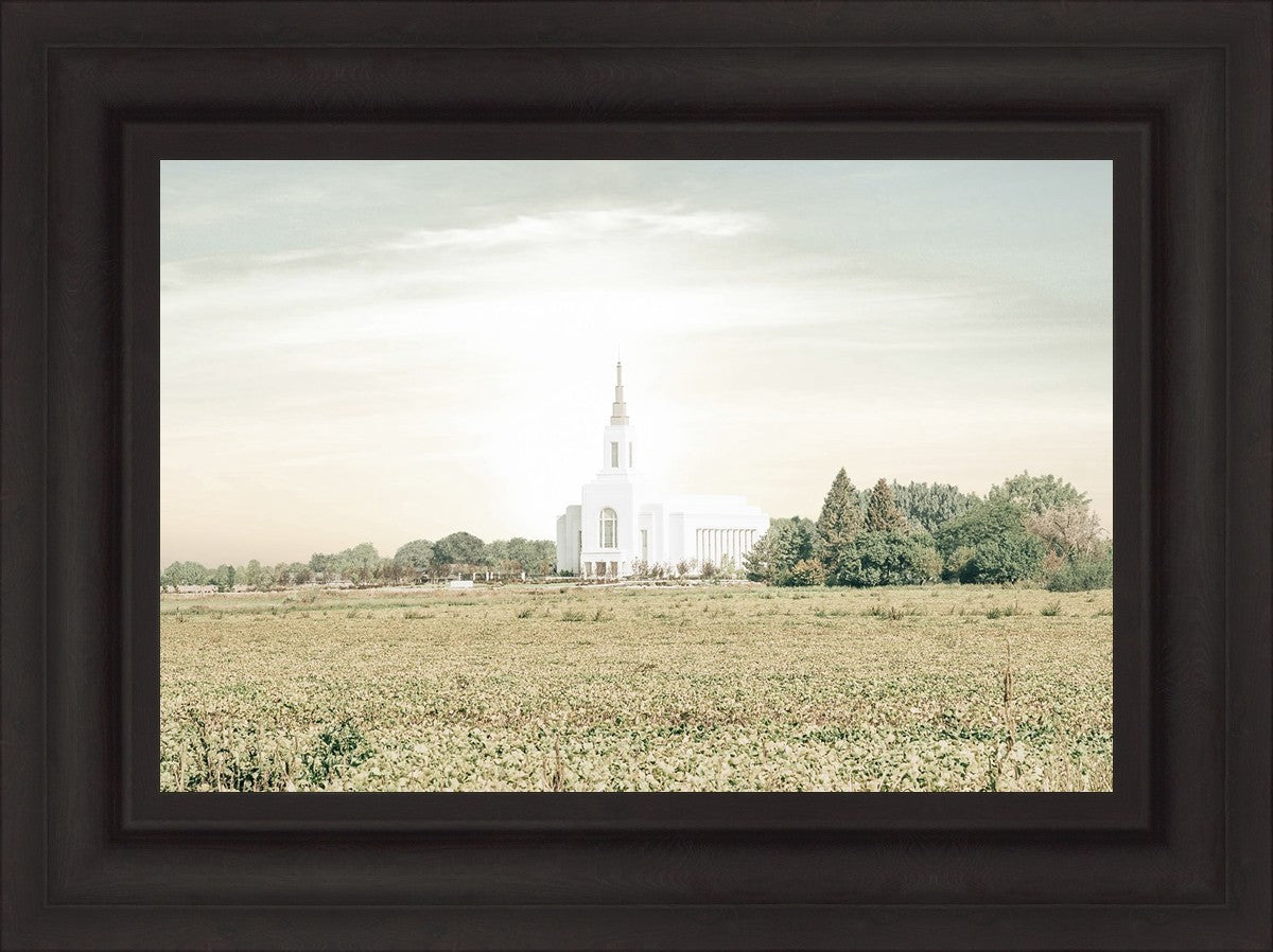 Burley Idaho Immaculate Embrace Pastel