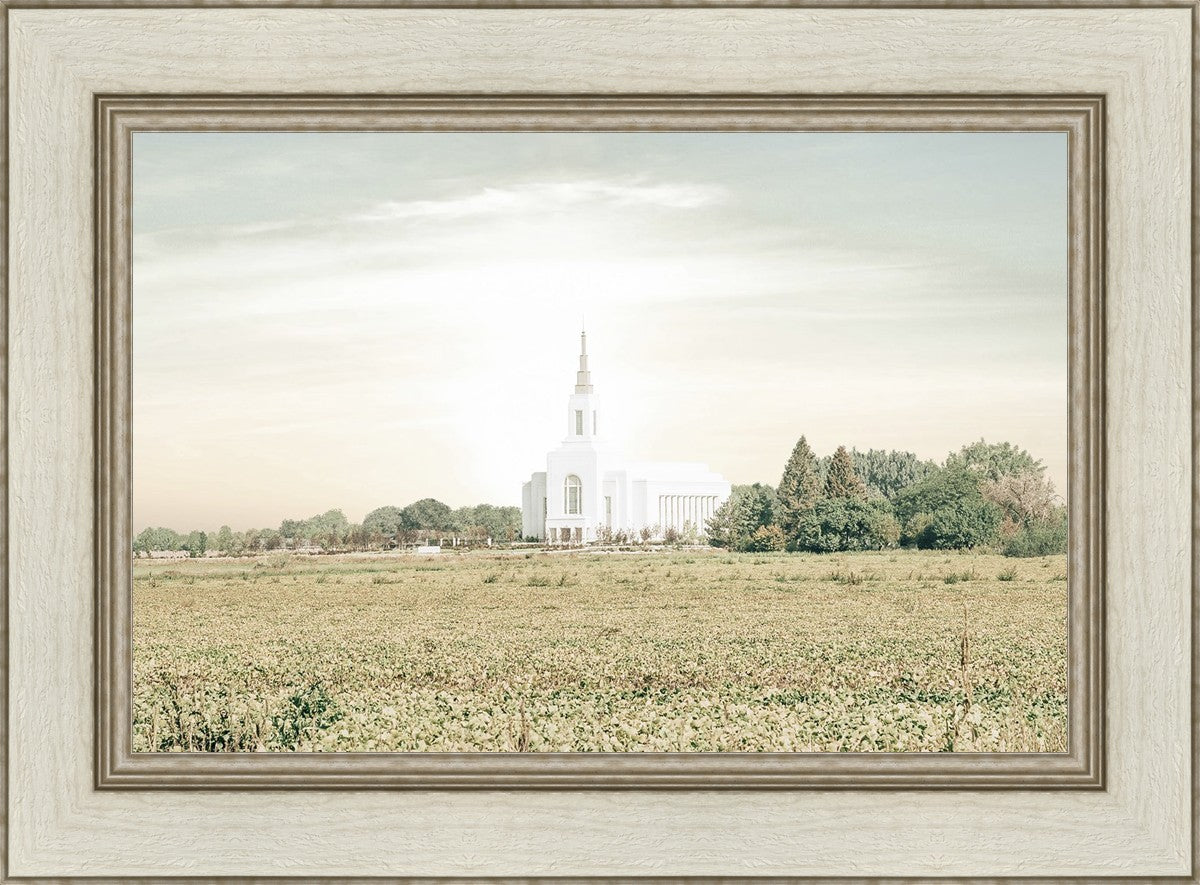 Burley Idaho Immaculate Embrace Pastel