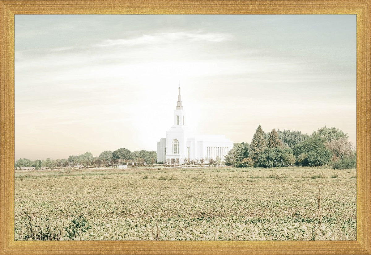 Burley Idaho Immaculate Embrace Pastel