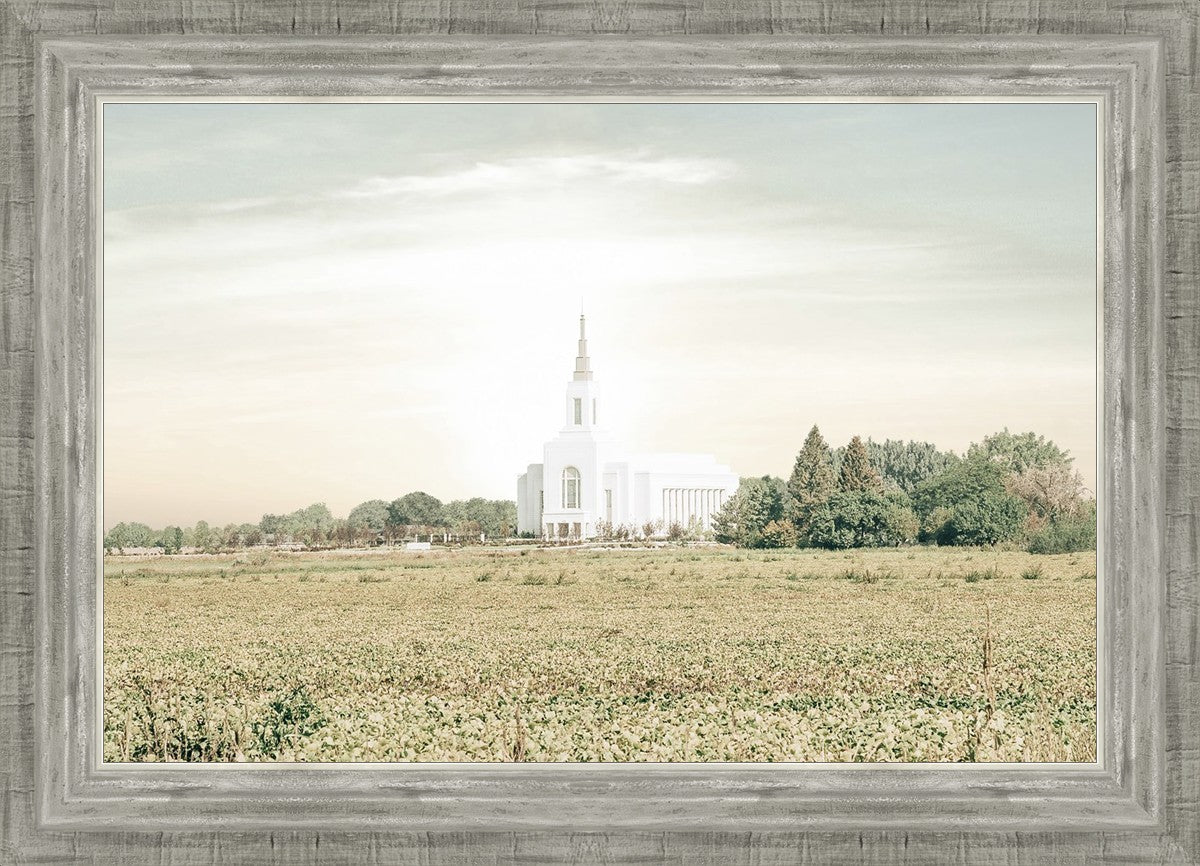 Burley Idaho Immaculate Embrace Pastel