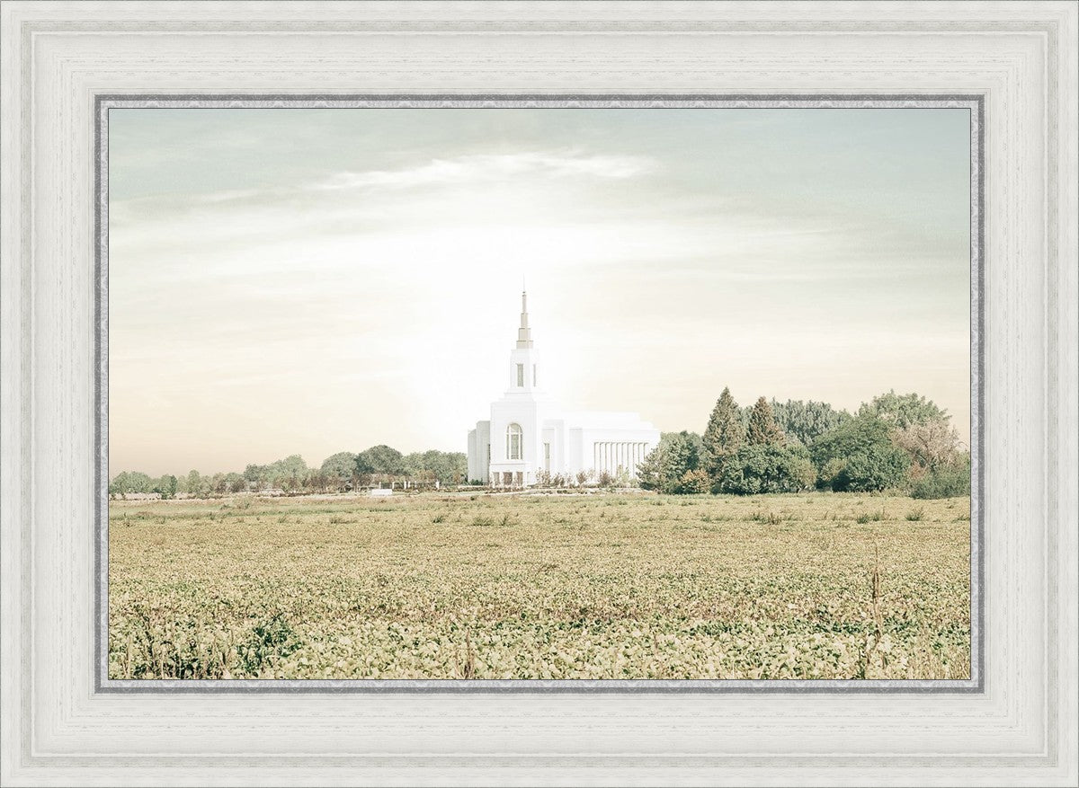 Burley Idaho Immaculate Embrace Pastel