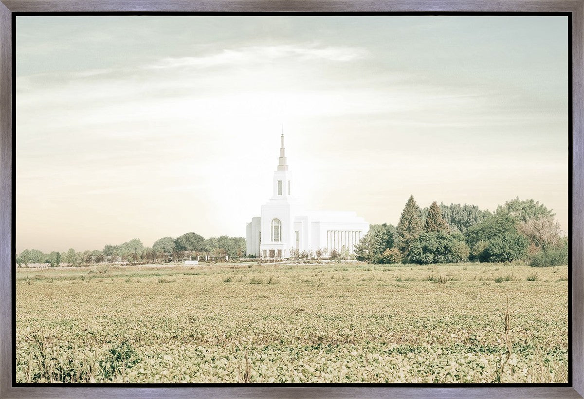 Burley Idaho Immaculate Embrace Pastel