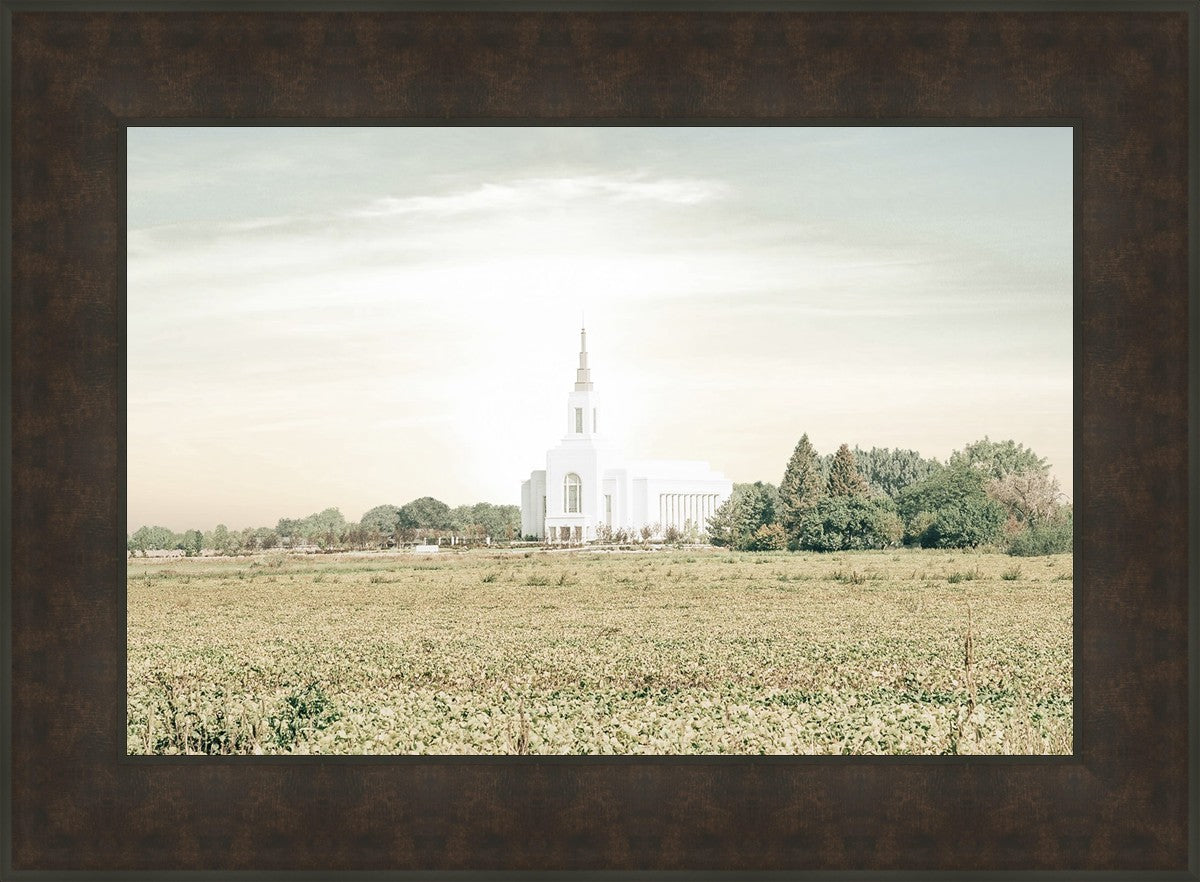 Burley Idaho Immaculate Embrace Pastel