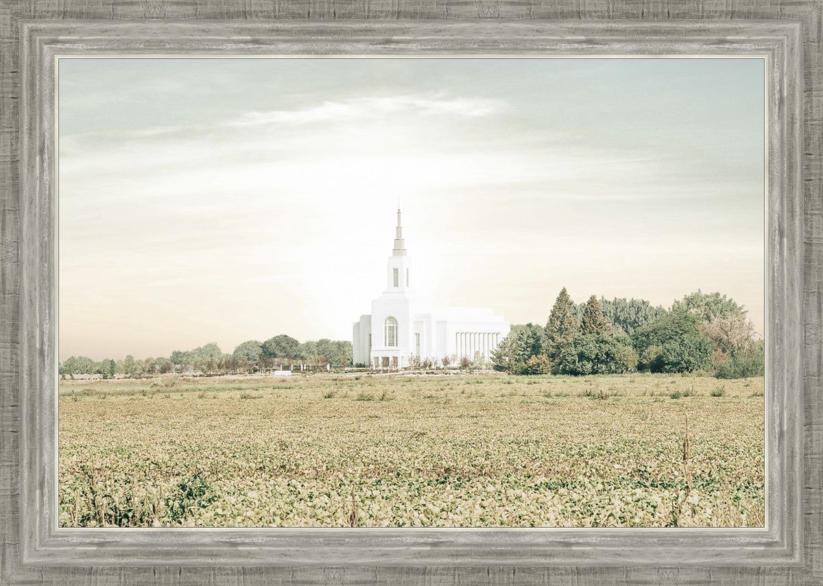 Burley Idaho Immaculate Embrace Pastel