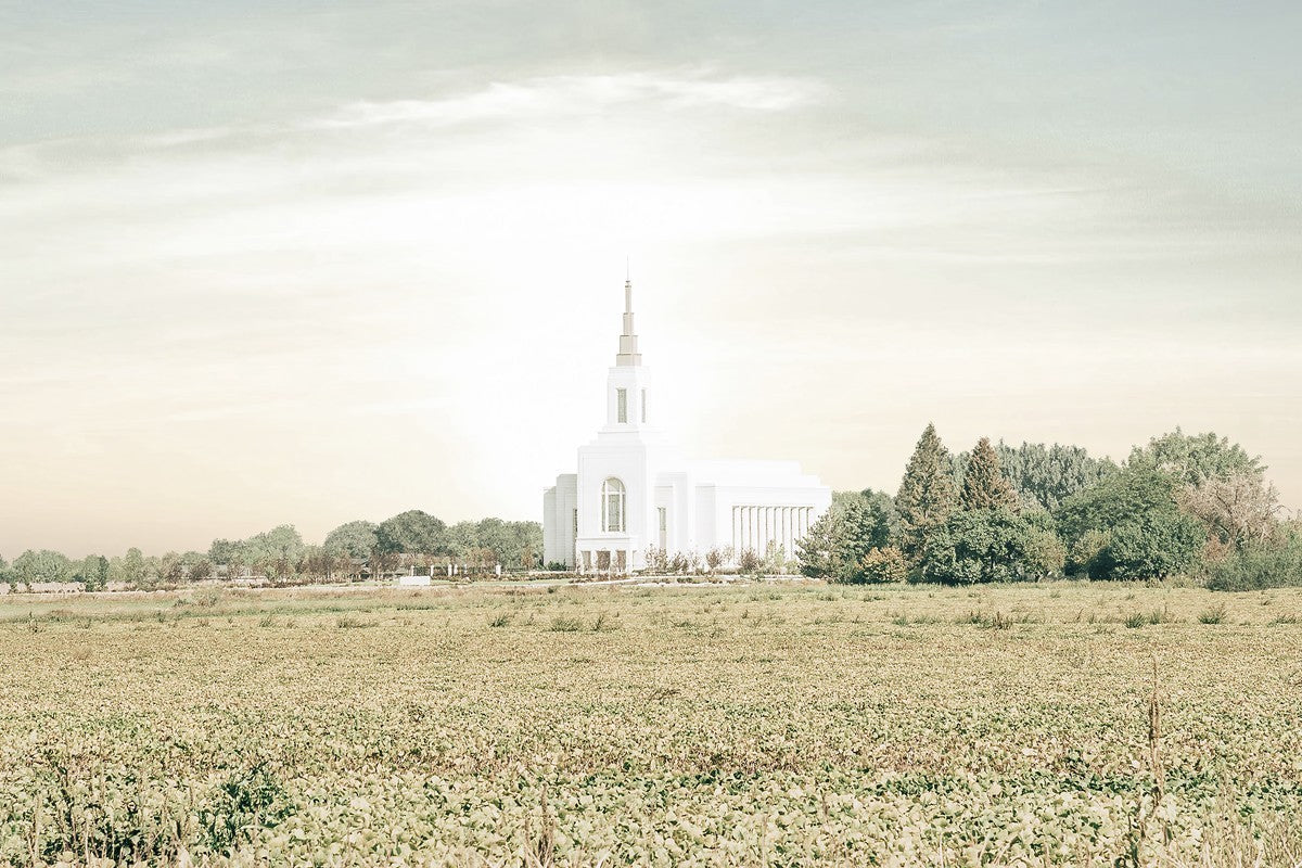 Burley Idaho Immaculate Embrace Pastel