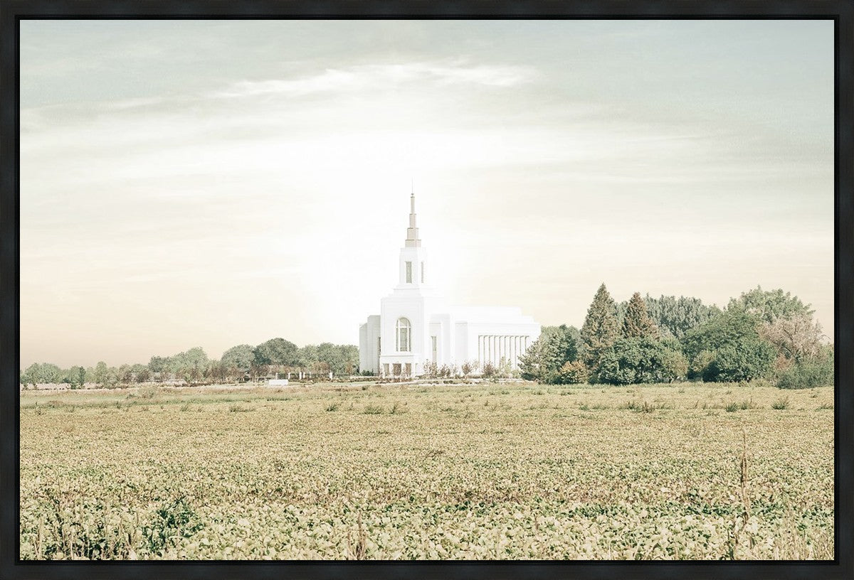 Burley Idaho Immaculate Embrace Pastel