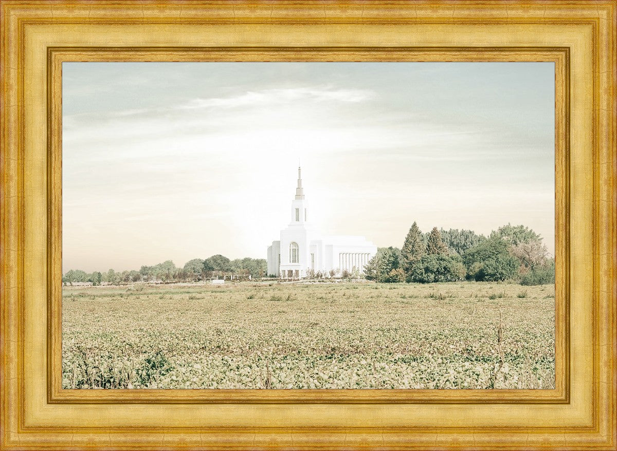 Burley Idaho Immaculate Embrace Pastel