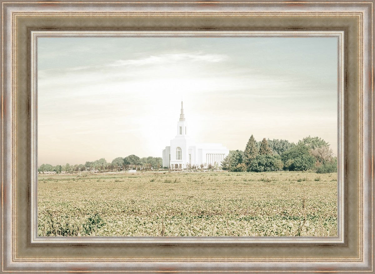 Burley Idaho Immaculate Embrace Pastel