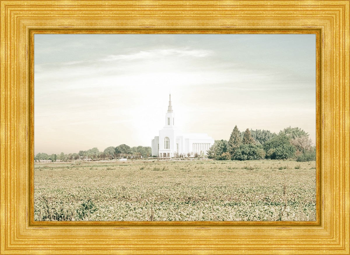 Burley Idaho Immaculate Embrace Pastel