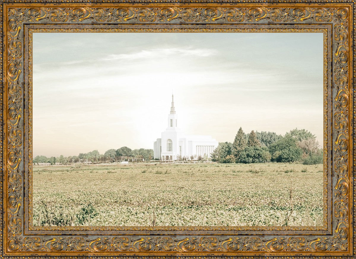 Burley Idaho Immaculate Embrace Pastel