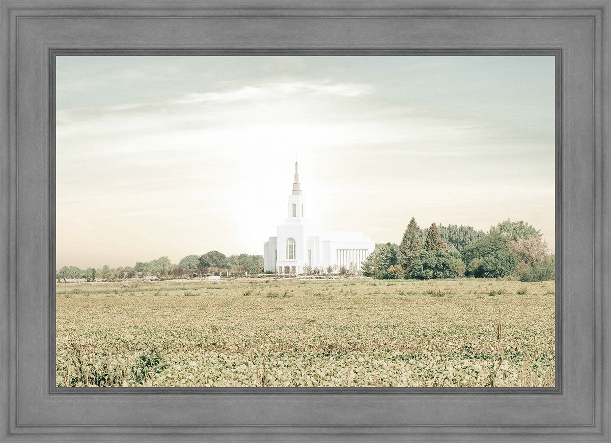 Burley Idaho Immaculate Embrace Pastel