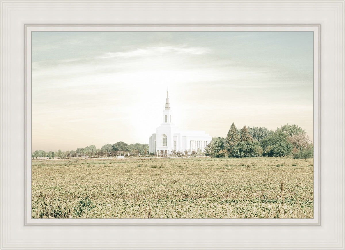 Burley Idaho Immaculate Embrace Pastel