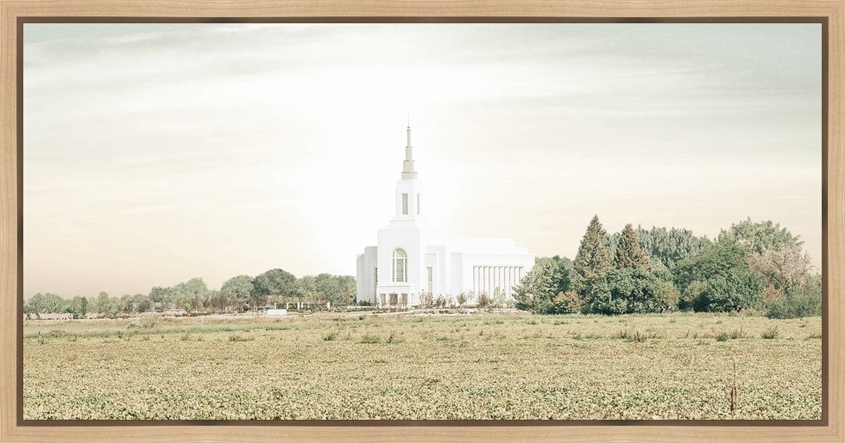 Burley Idaho Immaculate Embrace Pastel