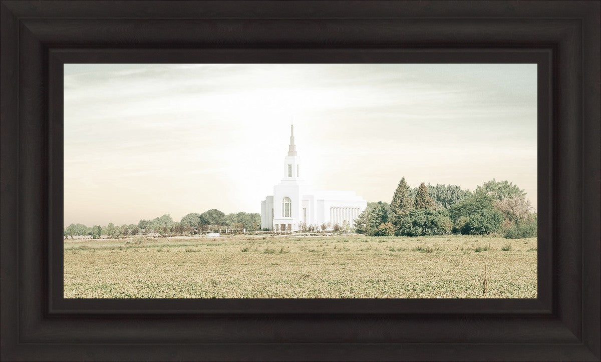 Burley Idaho Immaculate Embrace Pastel