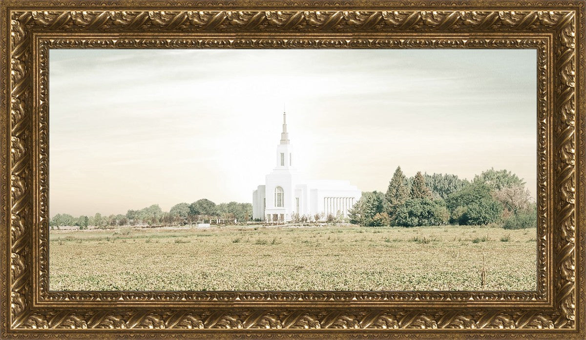 Burley Idaho Immaculate Embrace Pastel