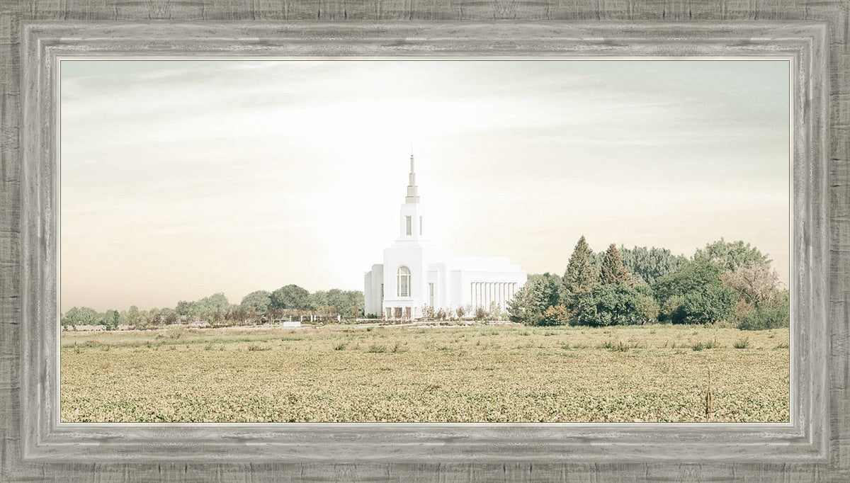 Burley Idaho Immaculate Embrace Pastel