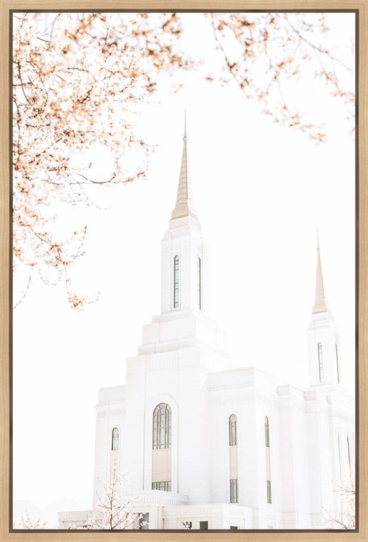 Lindon Utah Celestial View
