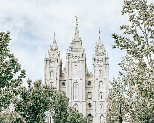 Salt Lake City Utah Immaculate Embrace
