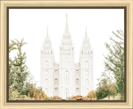 Salt Lake City Utah In His Presence