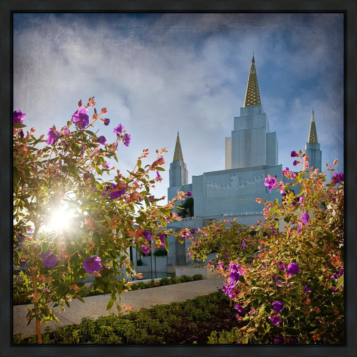 Oakland Brightness and Glory