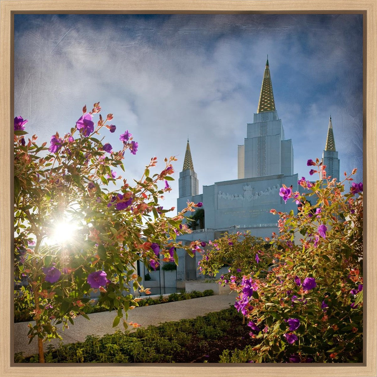 Oakland Brightness and Glory