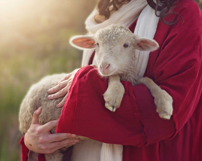 The Good Shepherd Gallery Wrap
