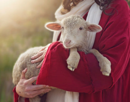 The Good Shepherd Gallery Wrap