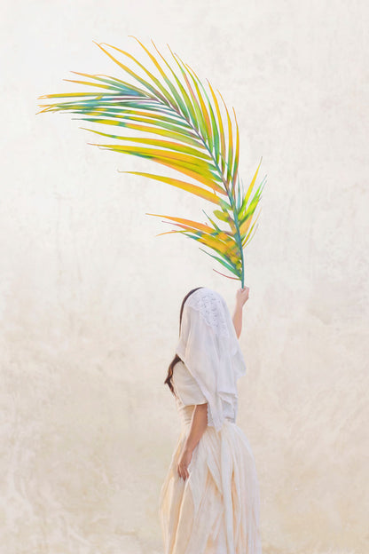 Palm Sunday