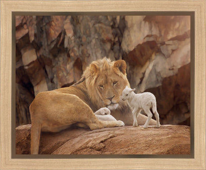The Lion and The Lamb Gallery Wrap