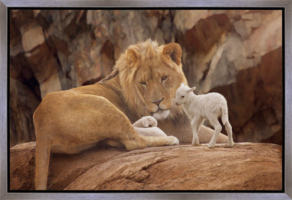 The Lion and The Lamb Gallery Wrap
