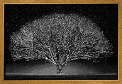 Winter Wonderland Gallery Wrap