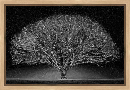 Winter Wonderland Gallery Wrap