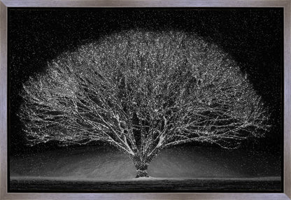Winter Wonderland Gallery Wrap