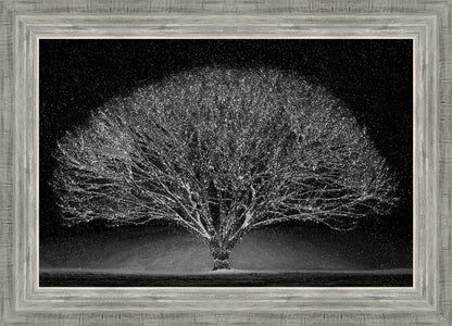 Winter Wonderland