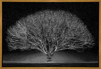 Winter Wonderland Gallery Wrap