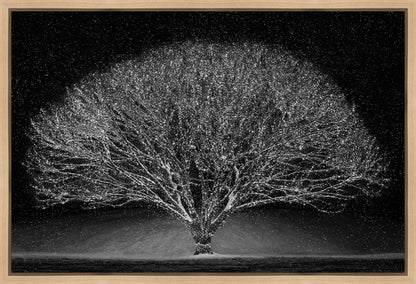 Winter Wonderland Gallery Wrap