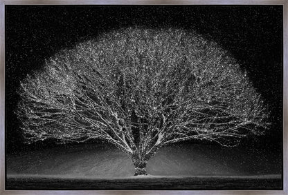 Winter Wonderland Gallery Wrap