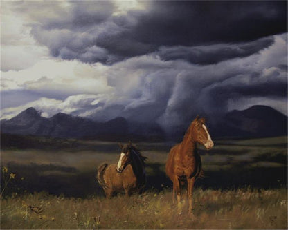 Blue Mountain Storme