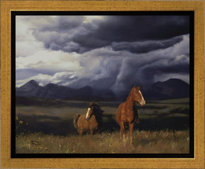 Blue Mountain Storme