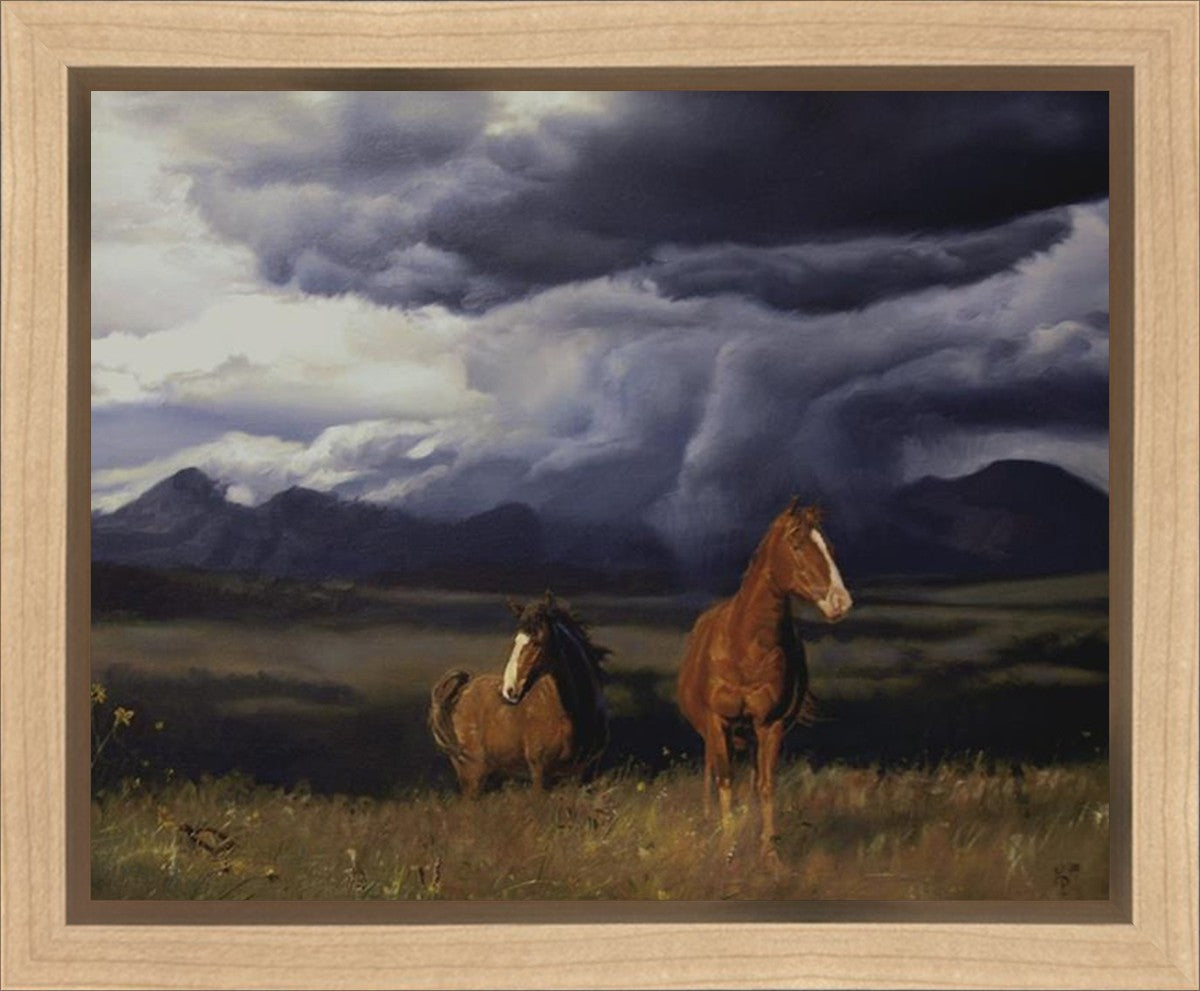 Blue Mountain Storme