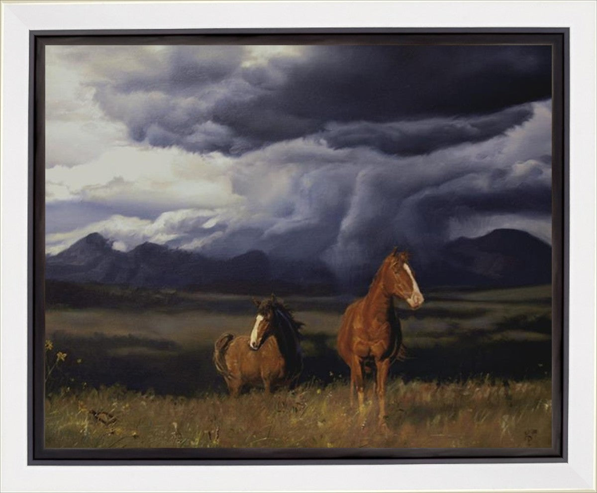 Blue Mountain Storme