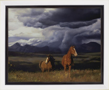 Blue Mountain Storme