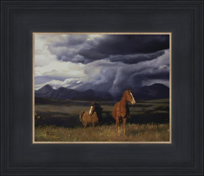 Blue Mountain Storme