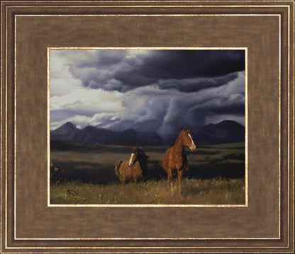 Blue Mountain Storme