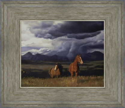 Blue Mountain Storme