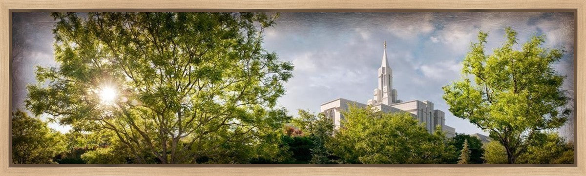 Bountiful, The Day Dawn Is Breaking