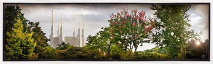 Washington DC, the Day Dawn is Breaking Gallery Wrap