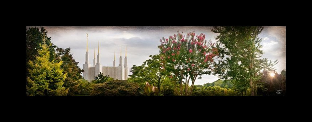 Washington DC, The Day Dawn Is Breaking