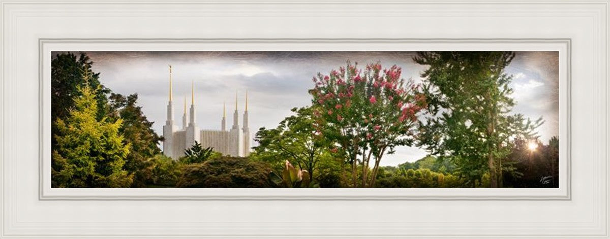 Washington DC, The Day Dawn Is Breaking