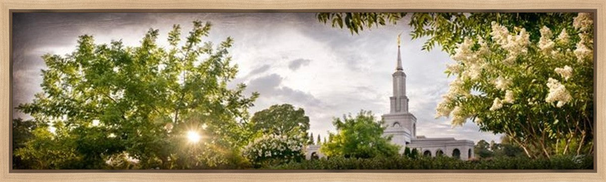 Sacramento, The Day Dawn Is Breaking